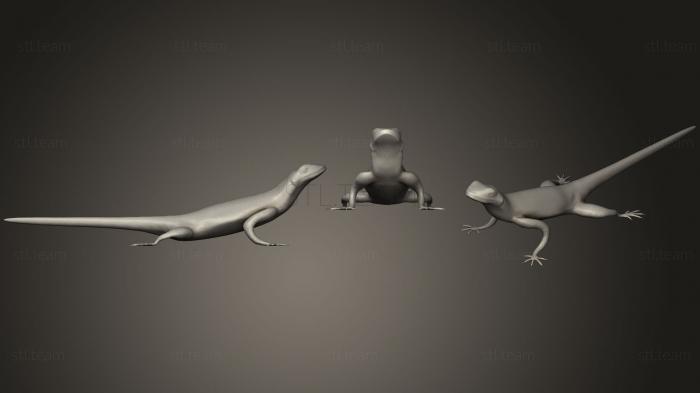 3D model Rock Agama lizard (STL)